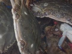 -宾朋海鲜特色美食餐厅·纯手工鲅鱼水饺(兴海路店)