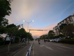 -洱海月湿地公园