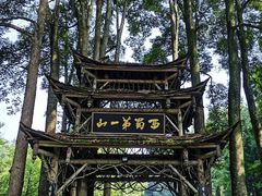 -青城山