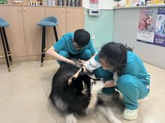 -美迦爱-牙专科·兔科·骨科诊疗中心(北苑店)