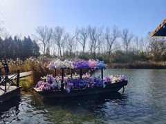 -溱湖国家湿地公园