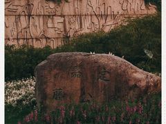 -嘉定紫藤园