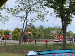 -上海滨江森林公园