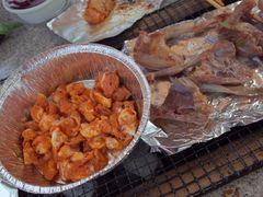 -吴淞炮台湾湿地森林公园烧烤区