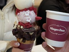 -哈根达斯(大洋百货店)