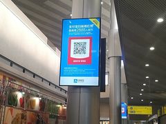 -谢列梅捷沃国际机场