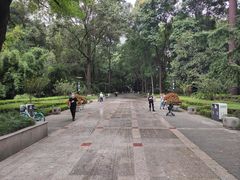 -绵阳人民公园(涪城区)