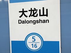 -大龙山(地铁站)