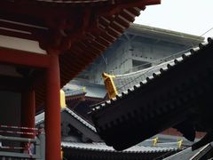 -仁寿寺