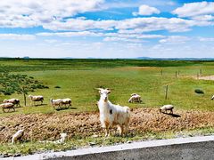 -塞罕坝国家级自然保护区