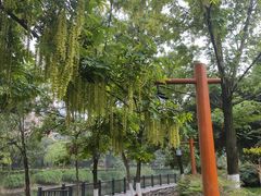 -沙河三洞古桥公园