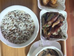 -田螺阿姨自营月嫂·育儿嫂(高新店)