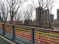 -府河摄影公园