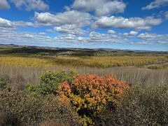 -塞罕坝国家级自然保护区
