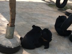 -西安秦岭野生动物园