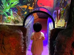 -沈阳海洋探索中心