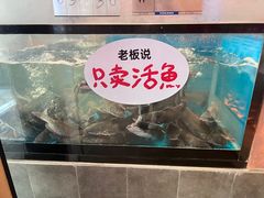 -鱼酷活鱼烤鱼(静安大融城店)