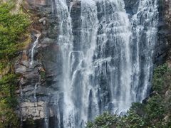 -海南热带雨林国家公园吊罗山景区