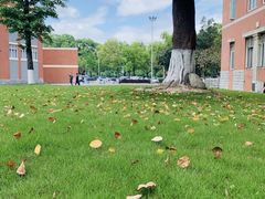-四川大学(望江校区)