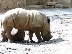 -昆明动物园