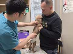 -瑞鹏宠物医院·骨外科·心肾科·肿瘤科(九亭店)