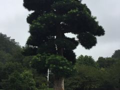 -韶山毛泽东同志故居