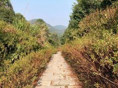 -桃花岭景区