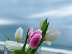 -蜜悦·波西塔诺悬崖海景餐厅