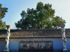 -溪口-滕头旅游景区