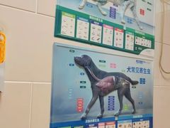 -瑞派天宁宠物医院·猫科·异宠中心