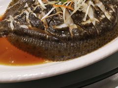 清蒸多宝鱼-金海湾海鲜总店