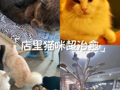 -泰国佛·塔罗·泰牌狐仙古曼