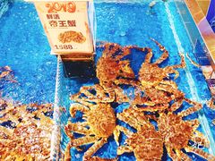 帝王蟹-盒马X会员店(王府井奥莱UP TOWN店)