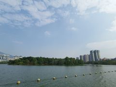 -飞来湖湿地公园
