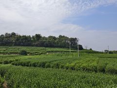 -南北湖风景区
