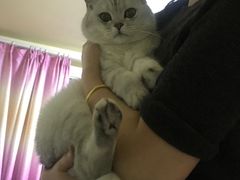 -爱侣宠医·鹦鹉专科·小型哺乳类·异宠专科(灵石路店)