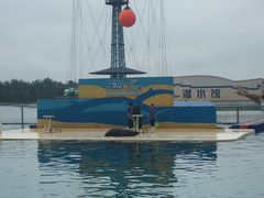 -秦皇岛乐岛海洋王国