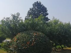 -习仲勋故居