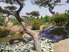 -罗红摄影艺术馆