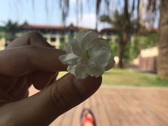 -西双版纳融创皇冠假日度假酒店