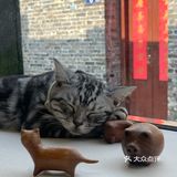 兴化特色下午茶 觅素咖啡☕打卡ding～