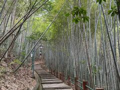 -敬亭山风景名胜区