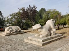 -北京十三陵国家森林公园蟒山景区