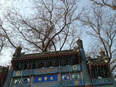 -北京国子监胡同