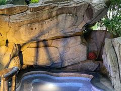 -海口观澜湖火山温泉谷