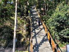 -云碧峰国家森林公园