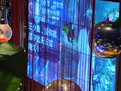 -胡桃里音乐酒馆(四道口店)