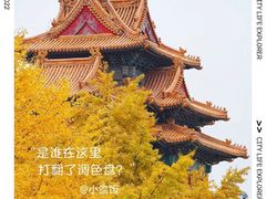 -故宫博物院(故宫)