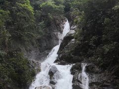 -九龙江国家森林公园