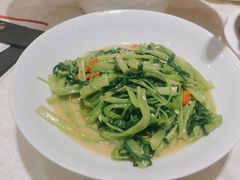 空心菜-禾府酒家·传统广府味(番禺店)